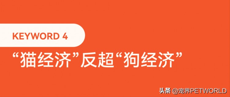 2023国内宠物行业年度关键词必看！